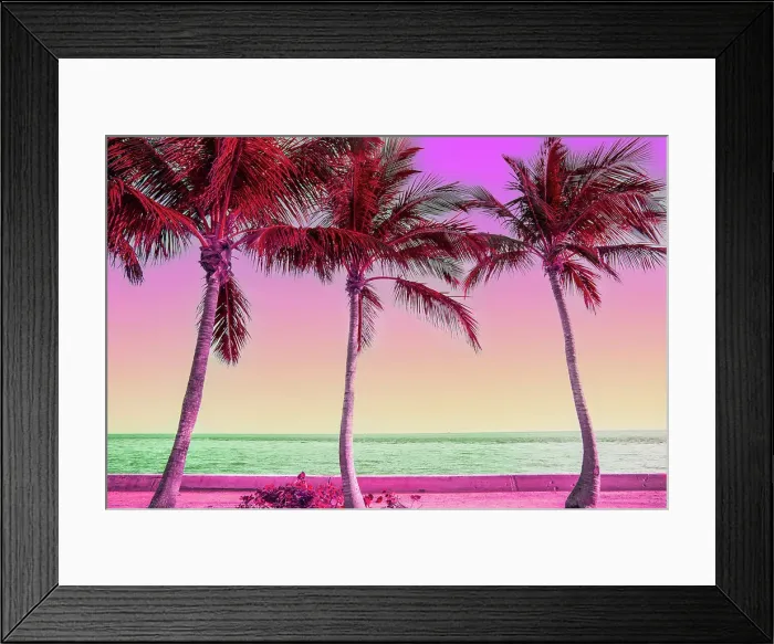 Framed Print : Dreamlike picture of colorful view of the palm trees in Miami