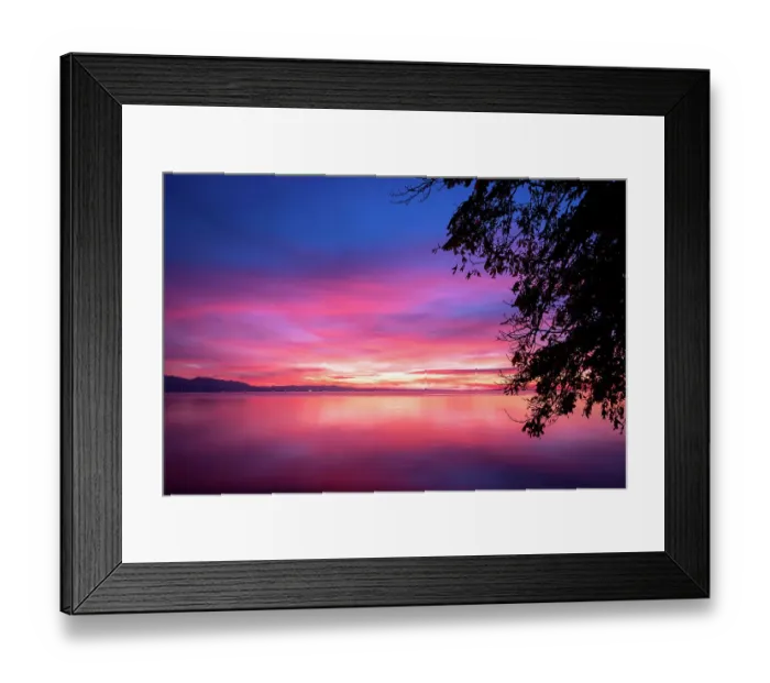 Framed Print : dark violet clouds with orange sun light and pink light in wonderful twilight sky. Silhouettes of trees on the background of the lake Bodensee in Lindau Framed Print : dark violet clouds with orange sun light and pink light in wonderful twilight sky. Silhouettes of trees on the background of the lake Bodensee in Lindau
