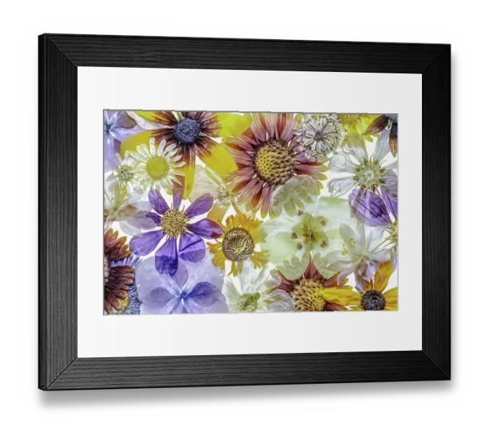 Framed Print : Floral fantasy