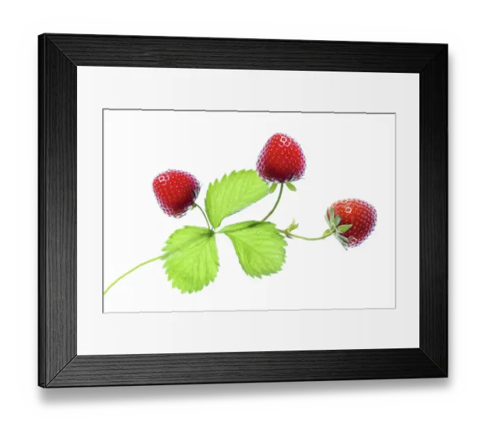Framed Print : Strawberry Framed Print : Strawberry