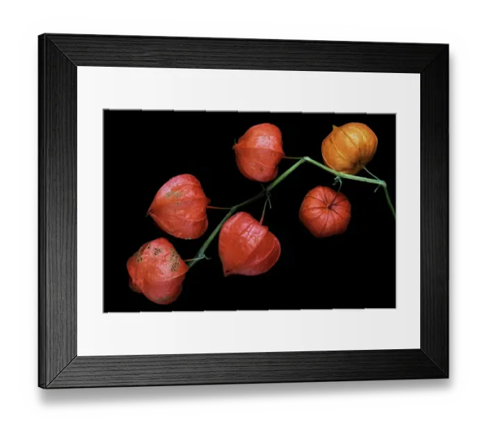 Framed Print : Chinese lanterns Framed Print : Chinese lanterns