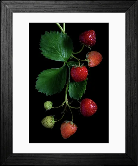Framed Print : Strawberry fruits Framed Print : Strawberry fruits