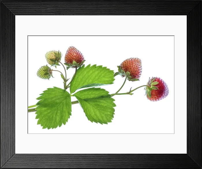 Framed Print : Strawberries Framed Print : Strawberries