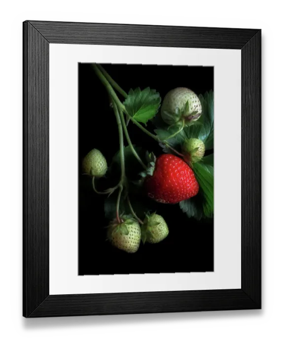 Framed Print : Strawberries Framed Print : Strawberries