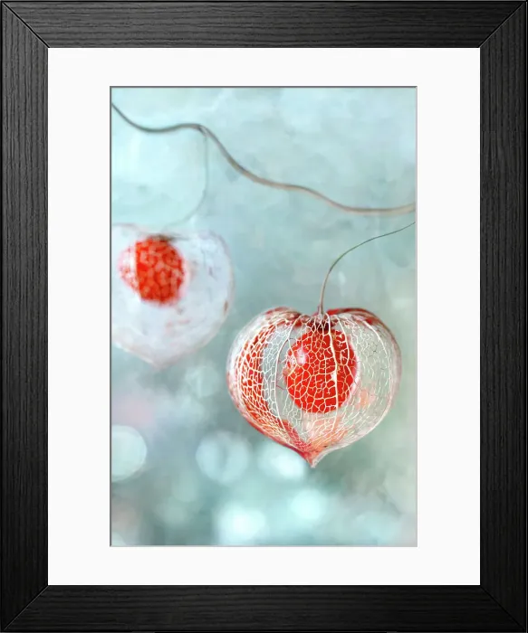 Framed Print : Chinese lanterns Framed Print : Chinese lanterns