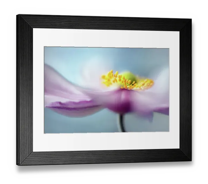 Framed Print : September charm Framed Print : September charm