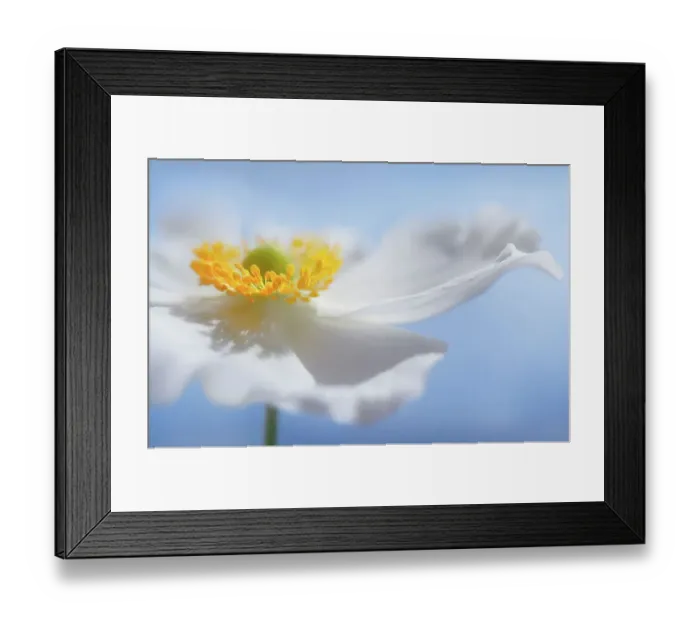 Framed Print : Summer bright