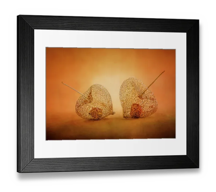 Framed Print : Lantern glow Framed Print : Lantern glow