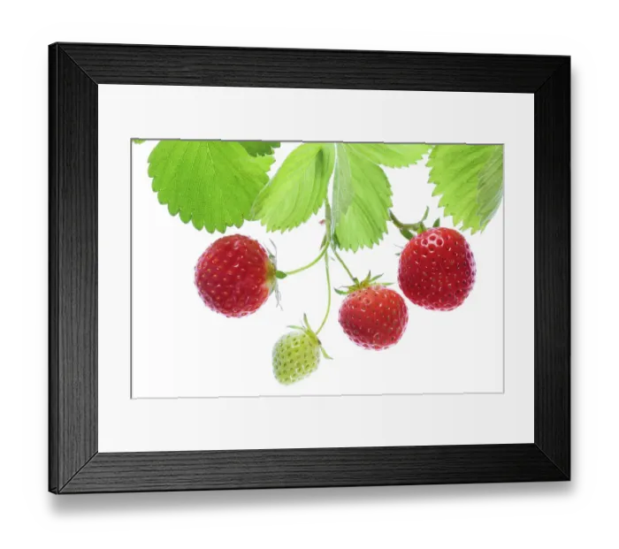 Framed Print : Strawberry fruits Framed Print : Strawberry fruits