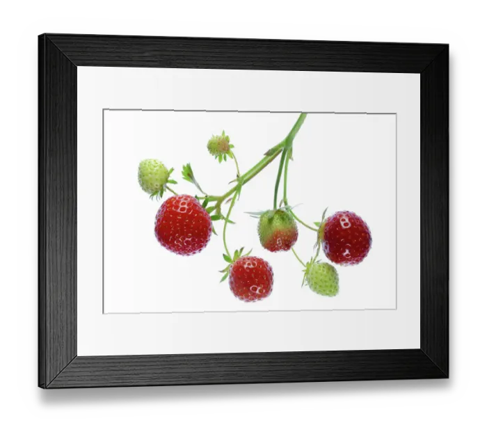 Framed Print : Strawberry fruits
