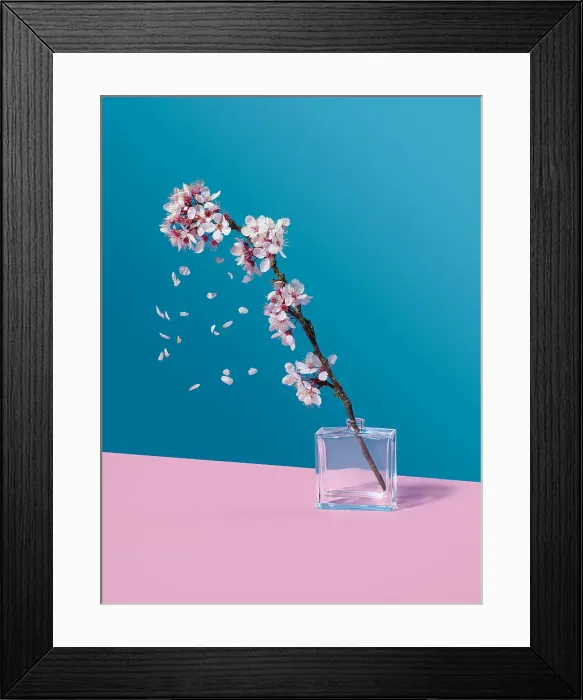 Framed Print : Cherry Blossom and glass jar Framed Print : Cherry Blossom and glass jar