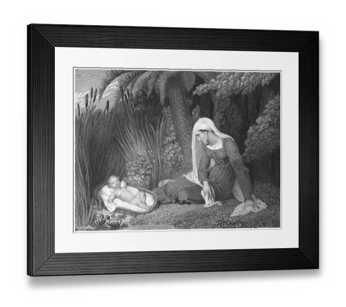 Framed Print : Old engraved illustration of Moses in the bulrushes Framed Print : Old engraved illustration of Moses in the bulrushes