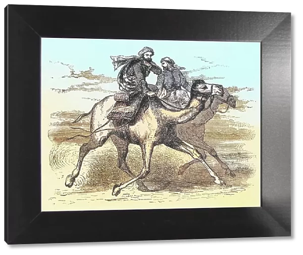 Old engraved illustration of Muhammad riding camel
