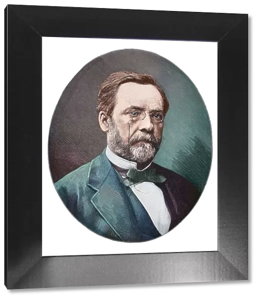 Louis Pasteur french chemist portrait engraving 1882