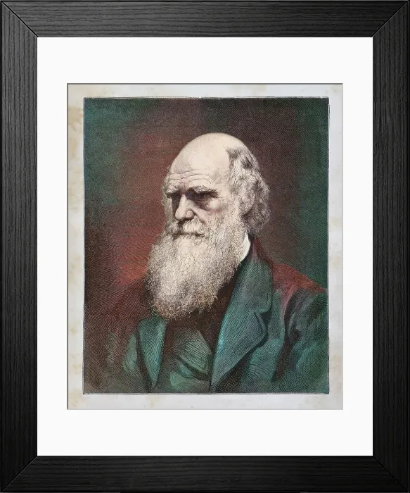 Framed Print : Charles Darwin naturalist portrait 1882 Framed Print : Charles Darwin naturalist portrait 1882