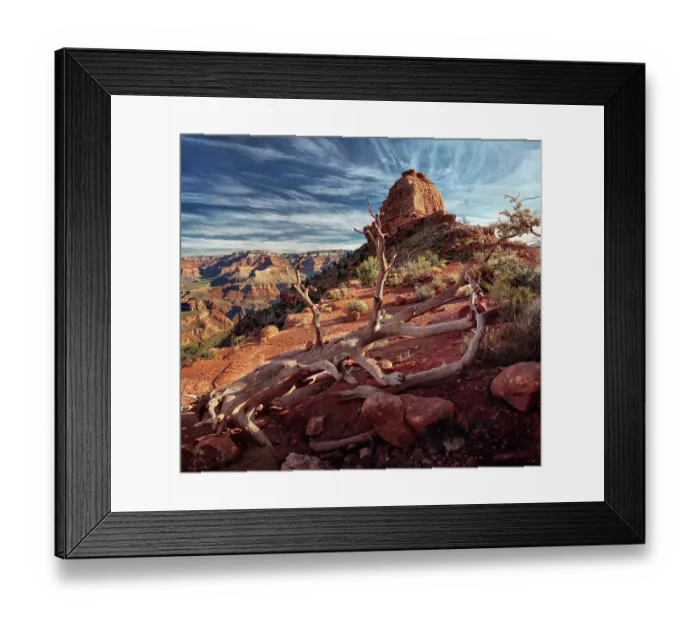 Framed Print : True Grit. Early morning on the South Kaibab Trail In Grand Canyon NP, Arizona Framed Print : True Grit. Early morning on the South Kaibab Trail In Grand Canyon NP, Arizona