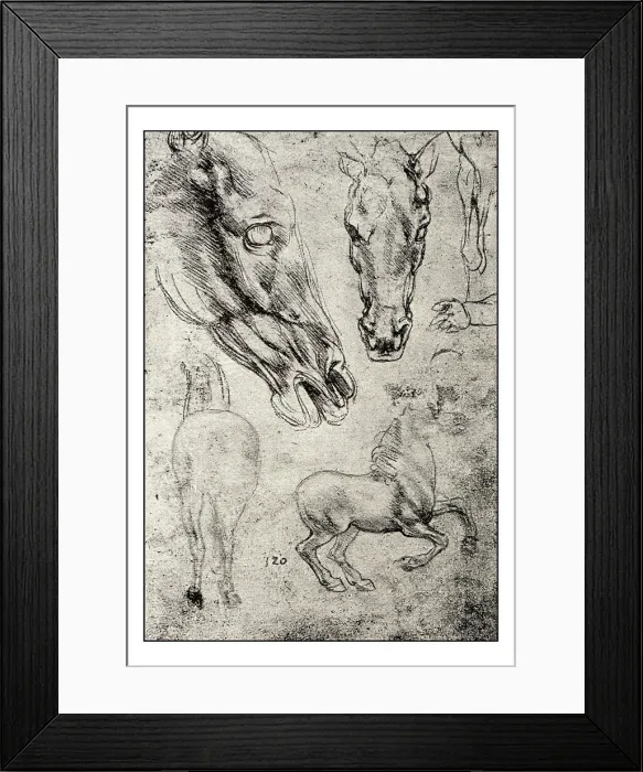 Framed Print : Leonardo's sketches and drawings: horse Framed Print : Leonardo's sketches and drawings: horse