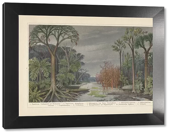 Plants of the hard coal time, chromolithograph, published in 1899