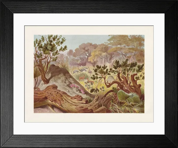 Framed Print : Mound-building termites in Africa, chromolithograph, published in 1884 Framed Print : Mound-building termites in Africa, chromolithograph, published in 1884