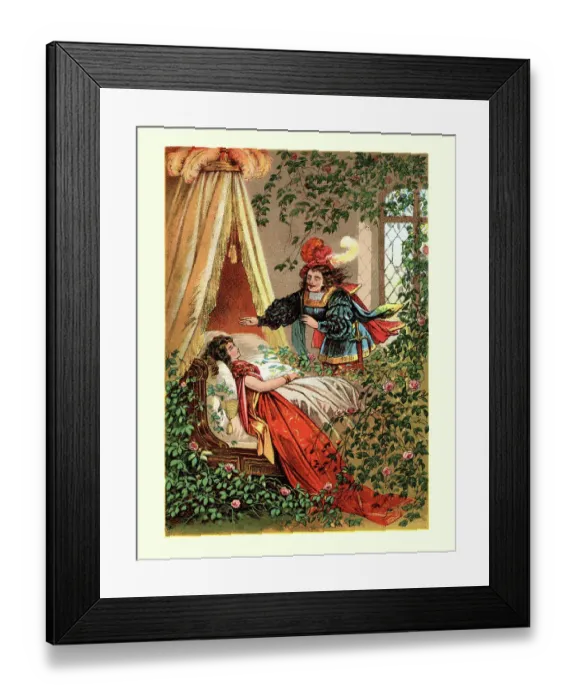 Framed Print : Sleeping Beauty fairy tale Framed Print : Sleeping Beauty fairy tale