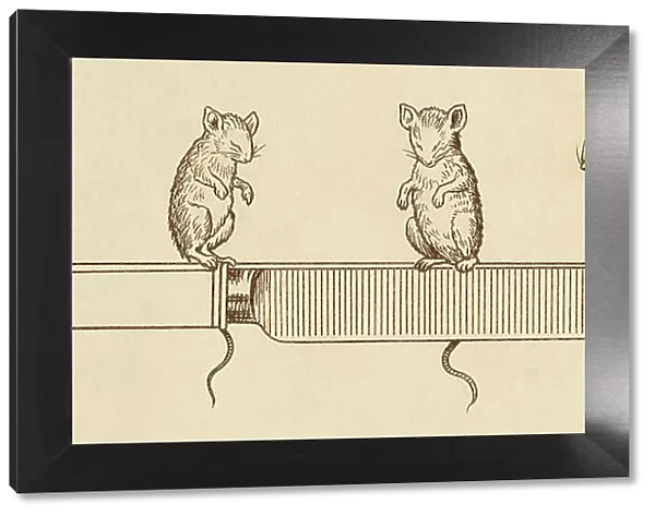 Three blind mice with a carving knife