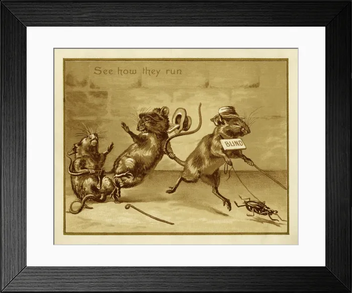 Framed Print : See how they run Framed Print : See how they run