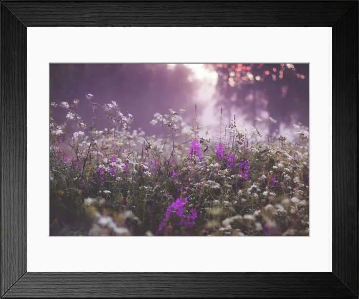 Framed Print : View of blooming wildflowers Framed Print : View of blooming wildflowers