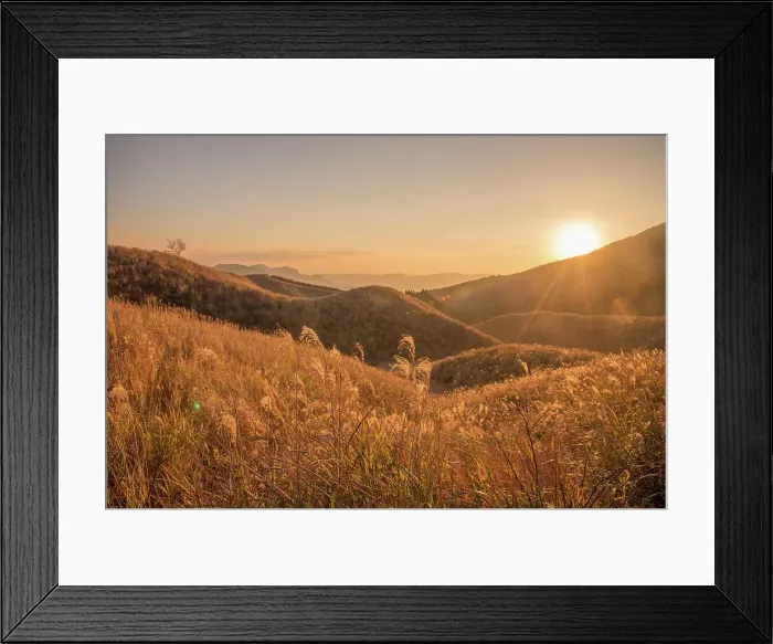Framed Print : Sunset on the grassy meadow Framed Print : Sunset on the grassy meadow