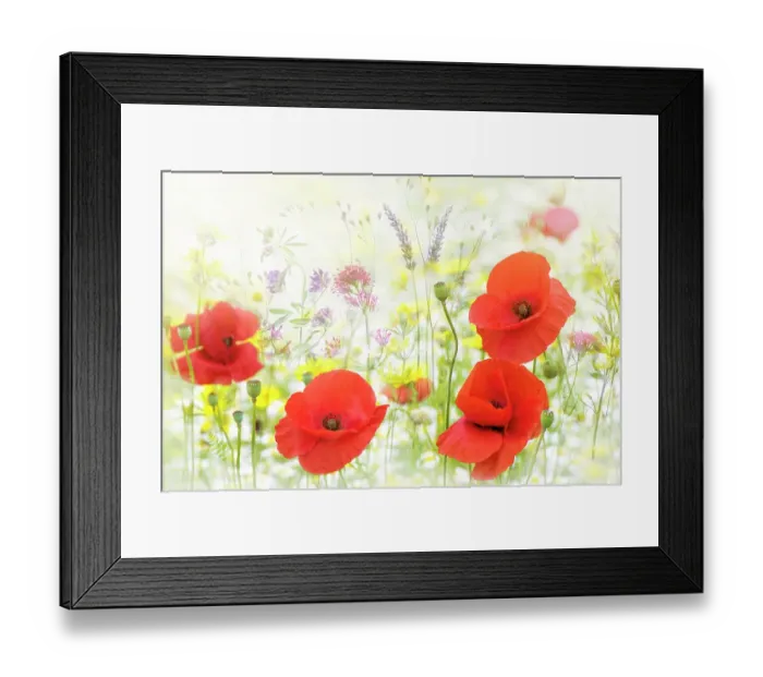Framed Print : Summer Meadow Framed Print : Summer Meadow