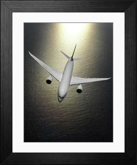 Framed Print : Look-down view of a Boeing 787-8 Dreamliner over the ocean Framed Print : Look-down view of a Boeing 787-8 Dreamliner over the ocean