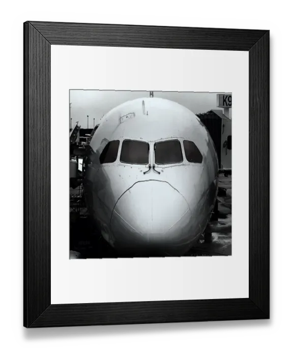 Framed Print : Boeing 787 Dreamliner Framed Print : Boeing 787 Dreamliner