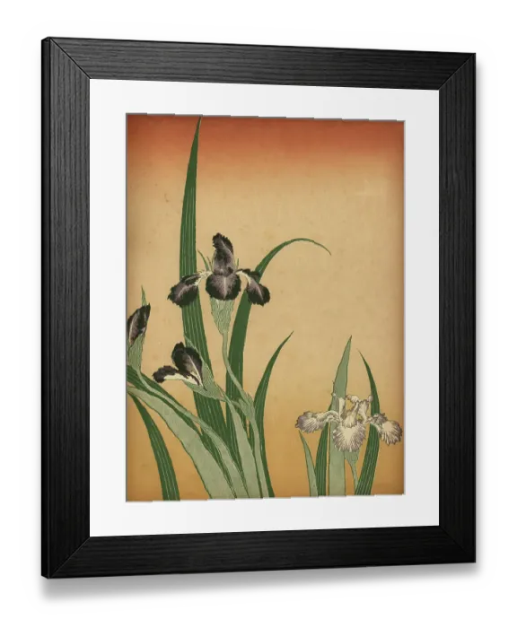 Framed Print : Art of Japan, Orchid flowers Framed Print : Art of Japan, Orchid flowers