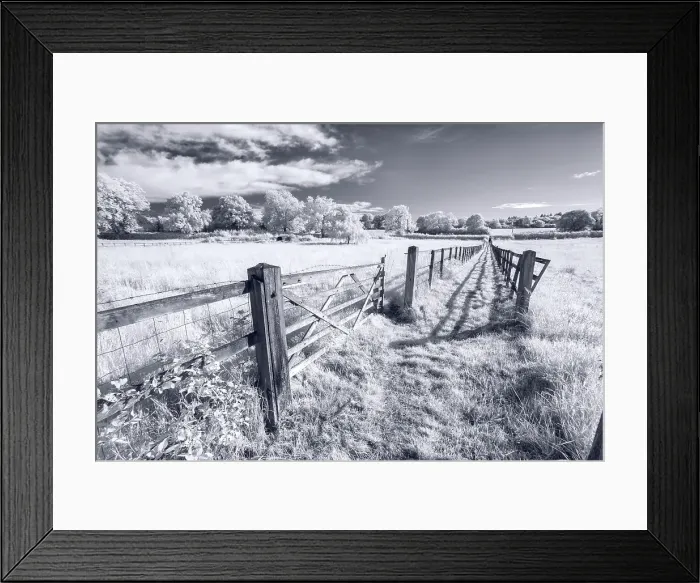 Framed Print : Broxbourne Woods Gateway Framed Print : Broxbourne Woods Gateway