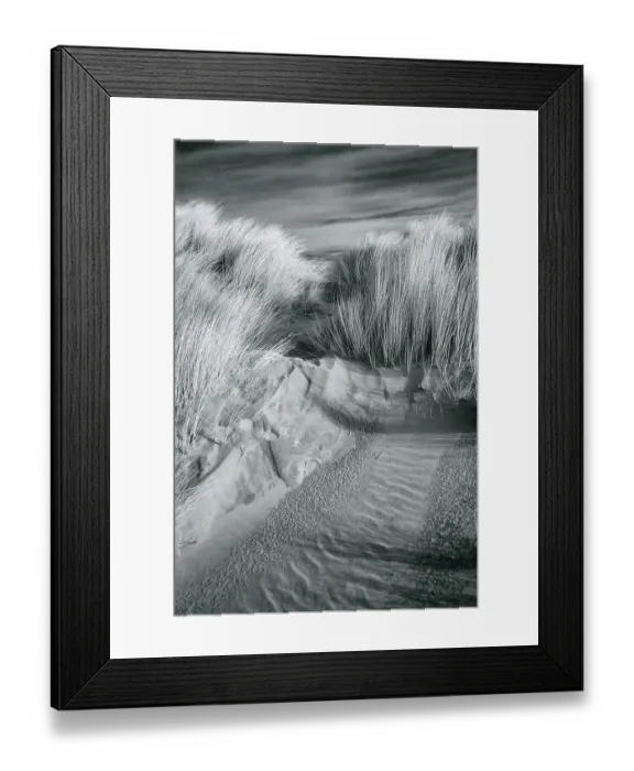 Framed Print : Crosby Beach Dunes