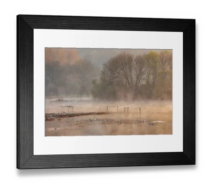 Framed Print : Amwell Nature Reserve Early Morning Framed Print : Amwell Nature Reserve Early Morning