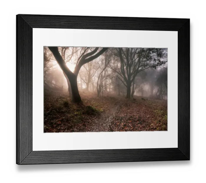 Framed Print : Ivinghoe Misty Morning Framed Print : Ivinghoe Misty Morning