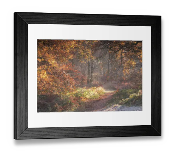 Framed Print : Ivinghoe in the Fall Framed Print : Ivinghoe in the Fall