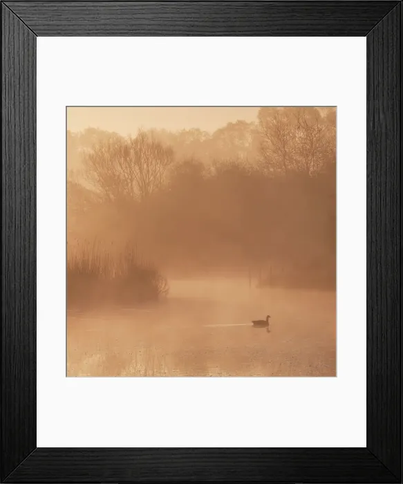 Framed Print : River Lea, Hooks Marsh, Serenity Framed Print : River Lea, Hooks Marsh, Serenity