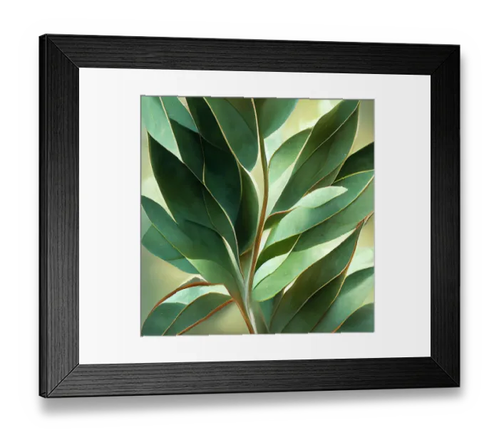 Framed Print : Texture Of Green Eucalyptus Leaves Framed Print : Texture Of Green Eucalyptus Leaves