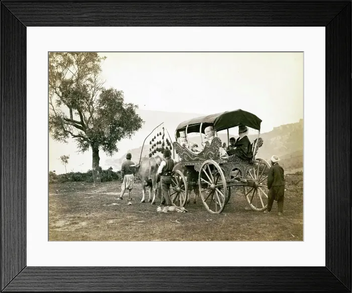 Framed Print : Turkish family going out in a carriage pulled by oxen, 1870, Turkey, Historic, digitally restored reproduction from a 19th century original Framed Print : Turkish family going out in a carriage pulled by oxen, 1870, Turkey, Historic, digitally restored reproduction from a 19th century original