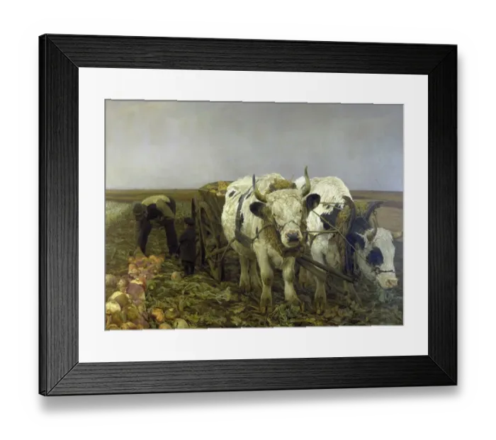 Framed Print : Agriculture, field work, Rueberernte with the ox team, around 1890, Germany, Historic, digitally restored reproduction from an original of the time Framed Print : Agriculture, field work, Rueberernte with the ox team, around 1890, Germany, Historic, digitally restored reproduction from an original of the time