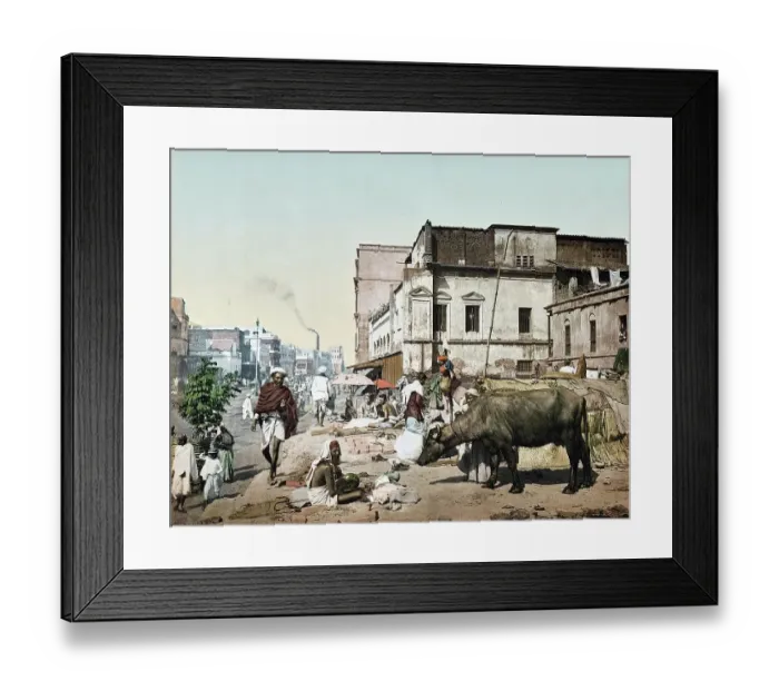 Framed Print : Strassemszeme, it People and Cow, Harrison Road with a Group of Jogees, Jogis, Calcutta, c. 1890, India, Historic, digitally restored reproduction from an original of the period Framed Print : Strassemszeme, it People and Cow, Harrison Road with a Group of Jogees, Jogis, Calcutta, c. 1890, India, Historic, digitally restored reproduction from an original of the period