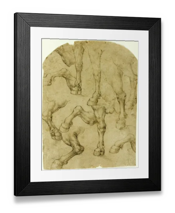 Framed Print : Sketches of horse legs or dromedary legs, after Leonardo da Vinci, 1452-1519, Italy, Historical, digitally restored reproduction from a 19th century original