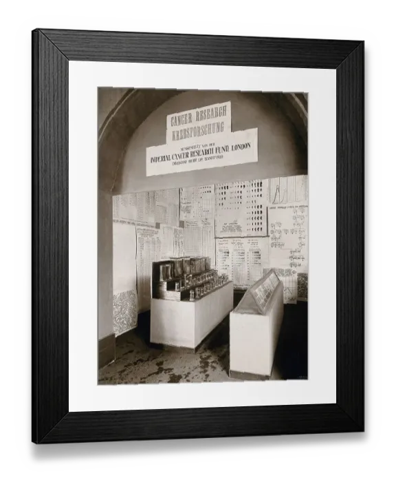 Framed Print : International Hygiene Exhibition, Dresden, 1911, the Imperial Cancer Research Fund, London, exhibition with laboratory samples and diagrams. Photograph by Martin Herzfeld in 1911, Saxony, Germany, Historic Framed Print : International Hygiene Exhibition, Dresden, 1911, the Imperial Cancer Research Fund, London, exhibition with laboratory samples and diagrams. Photograph by Martin Herzfeld in 1911, Saxony, Germany, Historic