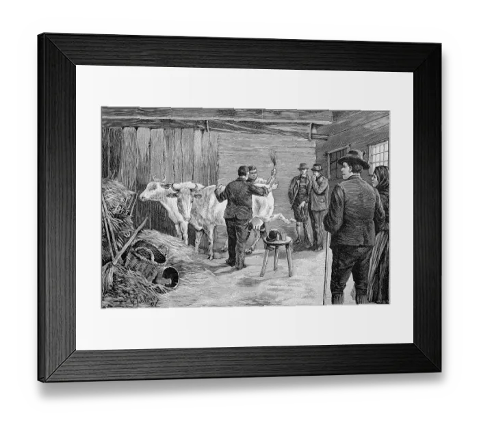Framed Print : Cowshed, vaccinating cows, in Styria, Austria, 1860, Historic, digitally restored reproduction of an original 19th-century painting Framed Print : Cowshed, vaccinating cows, in Styria, Austria, 1860, Historic, digitally restored reproduction of an original 19th-century painting