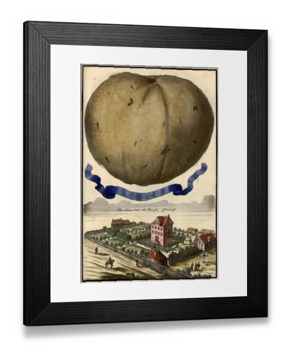 Framed Print : Citrus Fruit, Pompelmus and Castle Gibizenhof, Gibitzenhof, Nuremberg Hesperides, Nuremberg Hesperides, Hesperides Gardens, Nuremberg, Bavaria, Germany, digitally restored reproduction of an 18th century original, exact original date not known Framed Print : Citrus Fruit, Pompelmus and Castle Gibizenhof, Gibitzenhof, Nuremberg Hesperides, Nuremberg Hesperides, Hesperides Gardens, Nuremberg, Bavaria, Germany, digitally restored reproduction of an 18th century original, exact original date not known