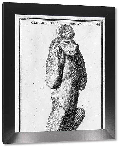 A marble statue of a monkey from the Museum of the Capitol, historic Rome, Italy, digital reproduction of an 18th century original, original date unknown