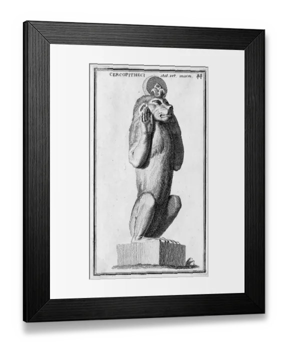 Framed Print : A marble statue of a monkey from the Museum of the Capitol, historic Rome, Italy, digital reproduction of an 18th century original, original date unknown