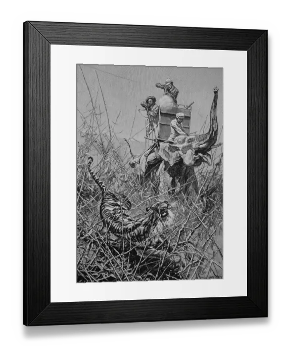 Framed Print : Tiger Hunt from the Elephant, India, Historic, Digital Reproduction of an Original 19th century Artwork Framed Print : Tiger Hunt from the Elephant, India, Historic, Digital Reproduction of an Original 19th century Artwork