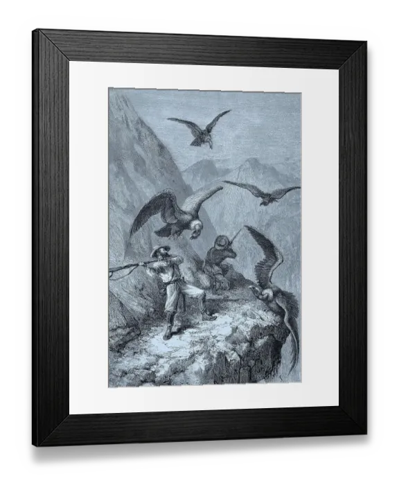 Framed Print : Hunters fighting with condors, 1888, Peru, Historical, digital reproduction of an original 19th-century painting Framed Print : Hunters fighting with condors, 1888, Peru, Historical, digital reproduction of an original 19th-century painting